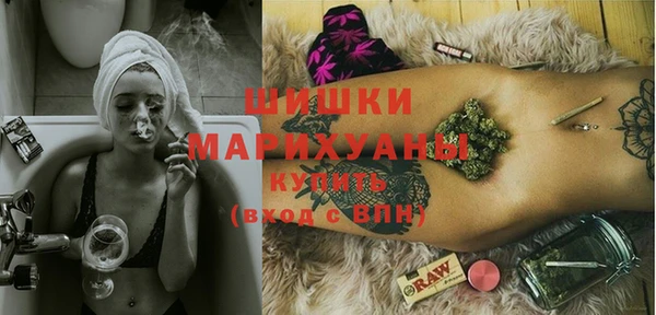 ешки Арсеньев