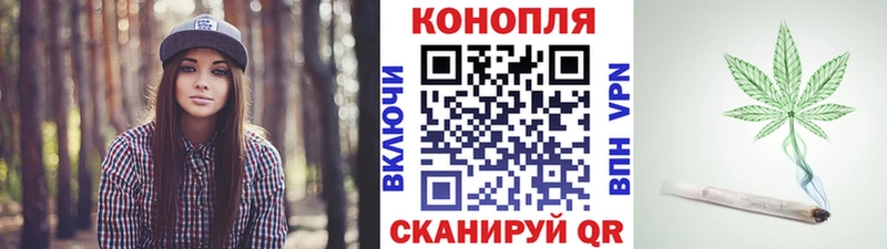 цены   Мураши  Канабис VHQ 